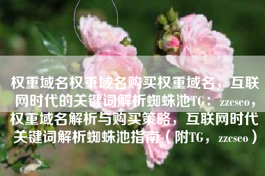 权重域名权重域名购买权重域名，互联网时代的关键词解析蜘蛛池TG：zzcseo，权重域名解析与购买策略，互联网时代关键词解析蜘蛛池指南（附TG，zzcseo）