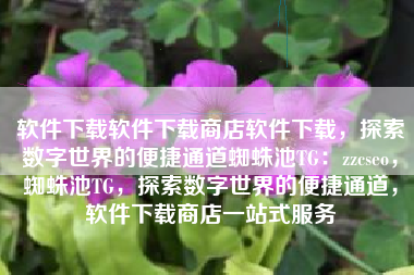 软件下载软件下载商店软件下载，探索数字世界的便捷通道蜘蛛池TG：zzcseo，蜘蛛池TG，探索数字世界的便捷通道，软件下载商店一站式服务