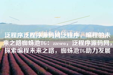 泛程序泛程序源码网泛程序，编程的未来之路蜘蛛池TG：zzcseo，泛程序源码网，探索编程未来之路，蜘蛛池TG助力发展