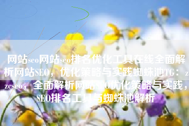 网站seo网站seo排名优化工具在线全面解析网站SEO，优化策略与实践蜘蛛池TG：zzcseo，全面解析网站SEO优化策略与实践，SEO排名工具与蜘蛛池解析