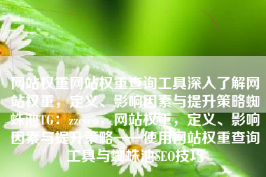 网站权重网站权重查询工具深入了解网站权重，定义、影响因素与提升策略蜘蛛池TG：zzcseo，网站权重，定义、影响因素与提升策略——使用网站权重查询工具与蜘蛛池SEO技巧