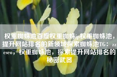 权重蜘蛛池百度权重蜘蛛ip权重蜘蛛池，提升网站排名的新领域探索蜘蛛池TG：zzcseo，权重蜘蛛池，探索提升网站排名的秘密武器