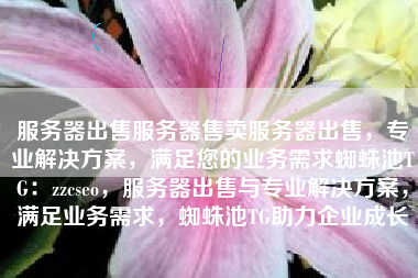 服务器出售服务器售卖服务器出售，专业解决方案，满足您的业务需求蜘蛛池TG：zzcseo，服务器出售与专业解决方案，满足业务需求，蜘蛛池TG助力企业成长
