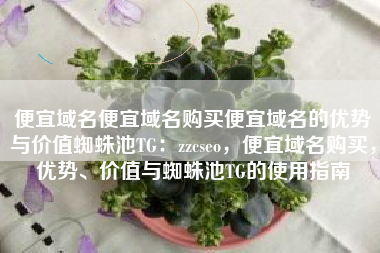 便宜域名便宜域名购买便宜域名的优势与价值蜘蛛池TG：zzcseo，便宜域名购买，优势、价值与蜘蛛池TG的使用指南