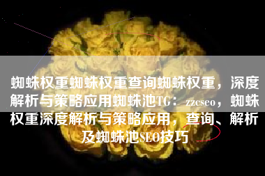 蜘蛛权重蜘蛛权重查询蜘蛛权重，深度解析与策略应用蜘蛛池TG：zzcseo，蜘蛛权重深度解析与策略应用，查询、解析及蜘蛛池SEO技巧