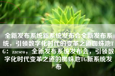 全新发布系统新系统发布会全新发布系统，引领数字化时代的变革之道蜘蛛池TG：zzcseo，全新发布系统发布会，引领数字化时代变革之道的蜘蛛池TG新系统发布
