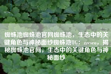 蜘蛛池蜘蛛池官网蜘蛛池，生态中的关键角色与神秘面纱蜘蛛池TG：zzcseo，揭秘蜘蛛池官网，生态中的关键角色与神秘面纱