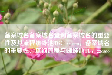 备案域名备案域名查询备案域名的重要性及其流程蜘蛛池TG：zzcseo，备案域名的重要性、查询流程与蜘蛛池TG，zzcseo