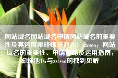 网站域名网站域名申请网站域名的重要性及其运用策略蜘蛛池TG：zzcseo，网站域名的重要性、申请策略及运用指南，蜘蛛池TG与zzcseo的独到见解