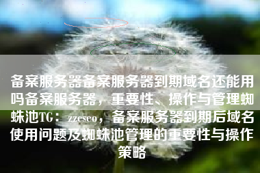备案服务器备案服务器到期域名还能用吗备案服务器，重要性、操作与管理蜘蛛池TG：zzcseo，备案服务器到期后域名使用问题及蜘蛛池管理的重要性与操作策略