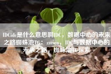 IDCidc是什么意思啊IDC，数据中心的未来之路蜘蛛池TG：zzcseo，IDC与数据中心的未来之路，蜘蛛池TG探索