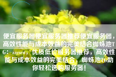 便宜服务器便宜服务器推荐便宜服务器，高效性能与成本效益的完美结合蜘蛛池TG：zzcseo，优质低价服务器推荐，高效性能与成本效益的完美结合，蜘蛛池TG助你轻松选购服务器！