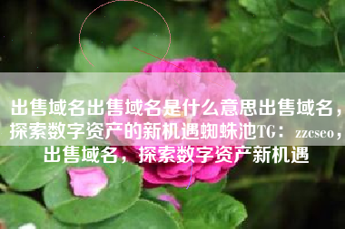 出售域名出售域名是什么意思出售域名，探索数字资产的新机遇蜘蛛池TG：zzcseo，出售域名，探索数字资产新机遇