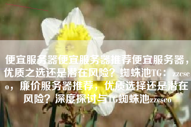便宜服务器便宜服务器推荐便宜服务器，优质之选还是潜在风险？蜘蛛池TG：zzcseo，廉价服务器推荐，优质选择还是潜在风险？深度探讨与TG蜘蛛池zzcseo