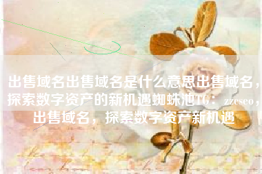 出售域名出售域名是什么意思出售域名，探索数字资产的新机遇蜘蛛池TG：zzcseo，出售域名，探索数字资产新机遇