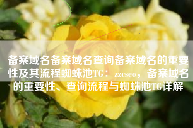 备案域名备案域名查询备案域名的重要性及其流程蜘蛛池TG：zzcseo，备案域名的重要性、查询流程与蜘蛛池TG详解