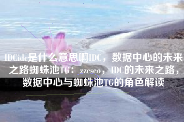 IDCidc是什么意思啊IDC，数据中心的未来之路蜘蛛池TG：zzcseo，IDC的未来之路，数据中心与蜘蛛池TG的角色解读