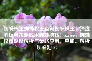 蜘蛛权重蜘蛛权重查询蜘蛛权重，深度解析与策略应用蜘蛛池TG：zzcseo，蜘蛛权重深度解析与策略应用，查询、解析蜘蛛池TG