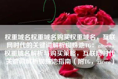 权重域名权重域名购买权重域名，互联网时代的关键词解析蜘蛛池TG：zzcseo，权重域名解析与购买策略，互联网时代关键词解析蜘蛛池指南（附TG，zzcseo）