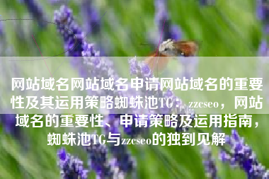 网站域名网站域名申请网站域名的重要性及其运用策略蜘蛛池TG：zzcseo，网站域名的重要性、申请策略及运用指南，蜘蛛池TG与zzcseo的独到见解