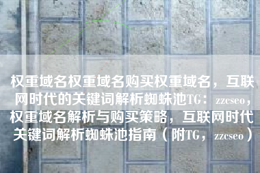 权重域名权重域名购买权重域名，互联网时代的关键词解析蜘蛛池TG：zzcseo，权重域名解析与购买策略，互联网时代关键词解析蜘蛛池指南（附TG，zzcseo）