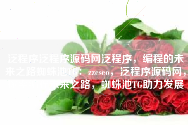 泛程序泛程序源码网泛程序，编程的未来之路蜘蛛池TG：zzcseo，泛程序源码网，探索编程未来之路，蜘蛛池TG助力发展