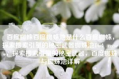 百度蜘蛛百度蜘蛛池是什么百度蜘蛛，探索搜索引擎的秘密武器蜘蛛池TG：zzcseo，探索搜索引擎的秘密武器，百度蜘蛛与蜘蛛池详解