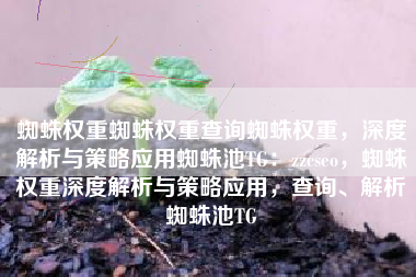 蜘蛛权重蜘蛛权重查询蜘蛛权重，深度解析与策略应用蜘蛛池TG：zzcseo，蜘蛛权重深度解析与策略应用，查询、解析蜘蛛池TG