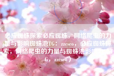 必应蜘蛛探索必应蜘蛛，网络爬虫的力量与影响蜘蛛池TG：zzcseo，必应蜘蛛探索，网络爬虫的力量与蜘蛛池影响力（TG，zzcseo）