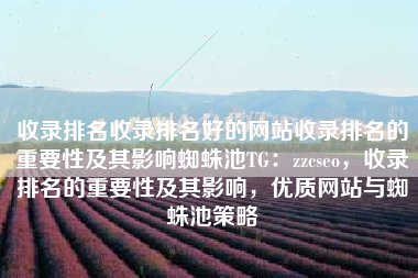 收录排名收录排名好的网站收录排名的重要性及其影响蜘蛛池TG：zzcseo，收录排名的重要性及其影响，优质网站与蜘蛛池策略