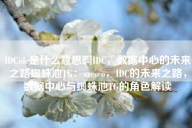 IDCidc是什么意思啊IDC，数据中心的未来之路蜘蛛池TG：zzcseo，IDC的未来之路，数据中心与蜘蛛池TG的角色解读