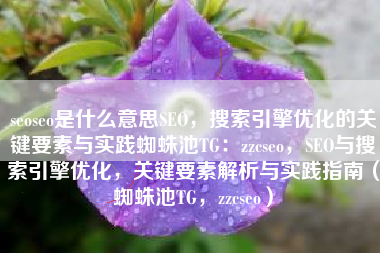 seoseo是什么意思SEO，搜索引擎优化的关键要素与实践蜘蛛池TG：zzcseo，SEO与搜索引擎优化，关键要素解析与实践指南（蜘蛛池TG，zzcseo）
