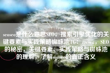 seoseo是什么意思SEO，搜索引擎优化的关键要素与实践策略蜘蛛池TG：zzcseo，SEO的秘密，关键要素、实践策略与蜘蛛池的理解，了解seoseo的真正含义