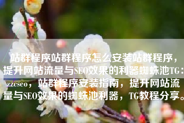 站群程序站群程序怎么安装站群程序，提升网站流量与SEO效果的利器蜘蛛池TG：zzcseo，站群程序安装指南，提升网站流量与SEO效果的蜘蛛池利器，TG教程分享。