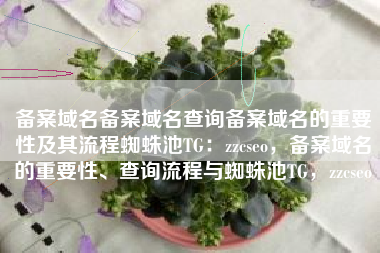 备案域名备案域名查询备案域名的重要性及其流程蜘蛛池TG：zzcseo，备案域名的重要性、查询流程与蜘蛛池TG，zzcseo