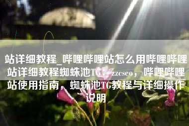 站详细教程_哔哩哔哩站怎么用哔哩哔哩站详细教程蜘蛛池TG：zzcseo，哔哩哔哩站使用指南，蜘蛛池TG教程与详细操作说明
