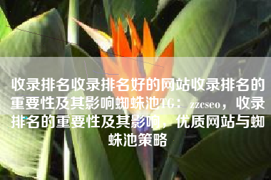 收录排名收录排名好的网站收录排名的重要性及其影响蜘蛛池TG：zzcseo，收录排名的重要性及其影响，优质网站与蜘蛛池策略