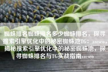 蜘蛛排名蜘蛛排名多少蜘蛛排名，探寻搜索引擎优化中的秘密蜘蛛池TG：zzcseo，揭秘搜索引擎优化中的秘密蜘蛛池，探寻蜘蛛排名与TG实战指南zzcseo