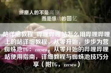 站详细教程_哔哩哔哩站怎么用哔哩哔哩上的站详细教程，从零开始，步步为营蜘蛛池TG：zzcseo，从零开始的哔哩哔哩站使用指南，详细教程与蜘蛛池技巧分享（附TG，zzcseo）