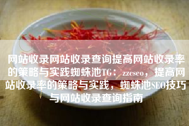 网站收录网站收录查询提高网站收录率的策略与实践蜘蛛池TG：zzcseo，提高网站收录率的策略与实践，蜘蛛池SEO技巧与网站收录查询指南