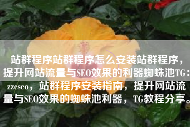 站群程序站群程序怎么安装站群程序，提升网站流量与SEO效果的利器蜘蛛池TG：zzcseo，站群程序安装指南，提升网站流量与SEO效果的蜘蛛池利器，TG教程分享。