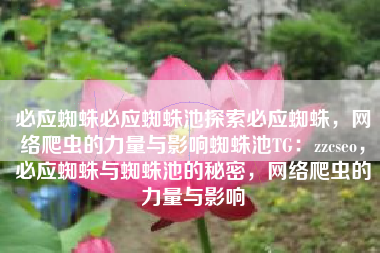 必应蜘蛛必应蜘蛛池探索必应蜘蛛，网络爬虫的力量与影响蜘蛛池TG：zzcseo，必应蜘蛛与蜘蛛池的秘密，网络爬虫的力量与影响