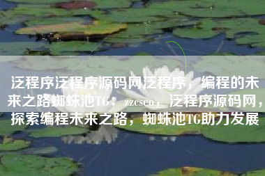 泛程序泛程序源码网泛程序，编程的未来之路蜘蛛池TG：zzcseo，泛程序源码网，探索编程未来之路，蜘蛛池TG助力发展