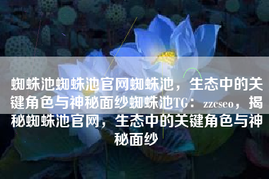 蜘蛛池蜘蛛池官网蜘蛛池，生态中的关键角色与神秘面纱蜘蛛池TG：zzcseo，揭秘蜘蛛池官网，生态中的关键角色与神秘面纱