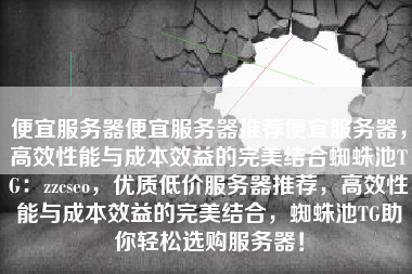 便宜服务器便宜服务器推荐便宜服务器，高效性能与成本效益的完美结合蜘蛛池TG：zzcseo，优质低价服务器推荐，高效性能与成本效益的完美结合，蜘蛛池TG助你轻松选购服务器！