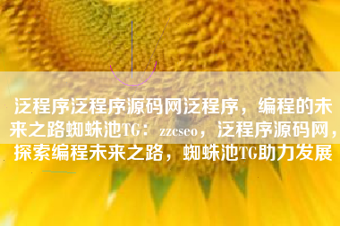泛程序泛程序源码网泛程序，编程的未来之路蜘蛛池TG：zzcseo，泛程序源码网，探索编程未来之路，蜘蛛池TG助力发展