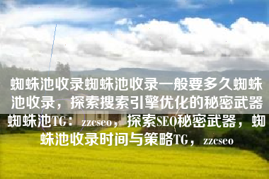 蜘蛛池收录蜘蛛池收录一般要多久蜘蛛池收录，探索搜索引擎优化的秘密武器蜘蛛池TG：zzcseo，探索SEO秘密武器，蜘蛛池收录时间与策略TG，zzcseo