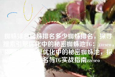 蜘蛛排名蜘蛛排名多少蜘蛛排名，探寻搜索引擎优化中的秘密蜘蛛池TG：zzcseo，揭秘搜索引擎优化中的秘密蜘蛛池，探寻蜘蛛排名与TG实战指南zzcseo