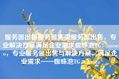 服务器出售服务器售卖服务器出售，专业解决方案满足企业需求蜘蛛池TG：zzcseo，专业服务器出售与解决方案，满足企业需求——蜘蛛池TG，zzcseo