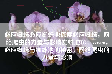 必应蜘蛛必应蜘蛛池探索必应蜘蛛，网络爬虫的力量与影响蜘蛛池TG：zzcseo，必应蜘蛛与蜘蛛池的秘密，网络爬虫的力量与影响